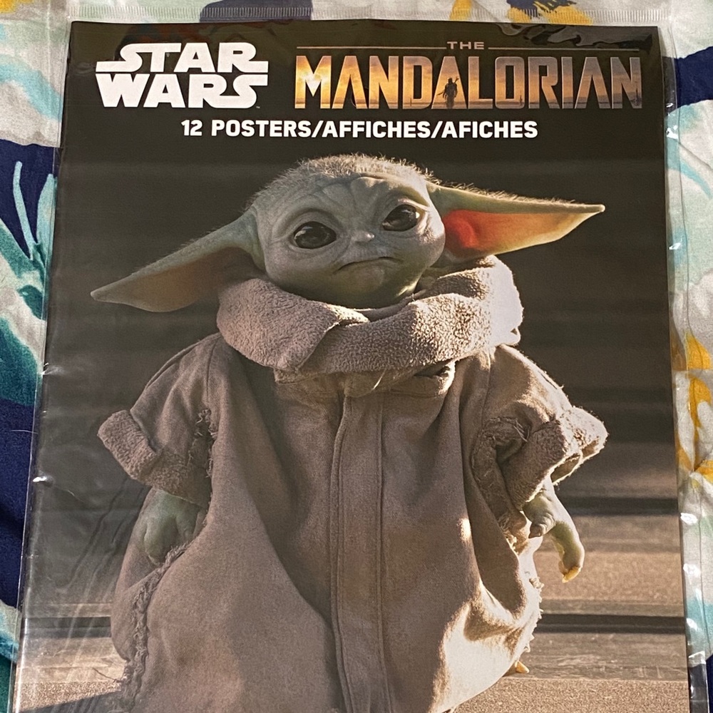 The Mandalorian aka “The Child Grogu”